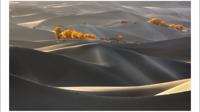 타클라마칸 사막 가을편#2