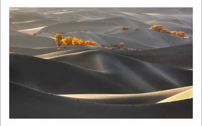 타클라마칸 사막 가을편#2