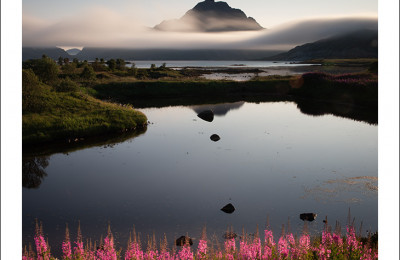 Image 20258