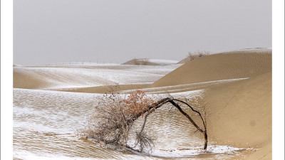 타크라마칸 사막 겨울편 #12