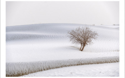 타크라마칸 사막 겨울편 #3