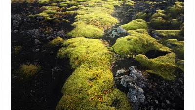 Inside Iceland