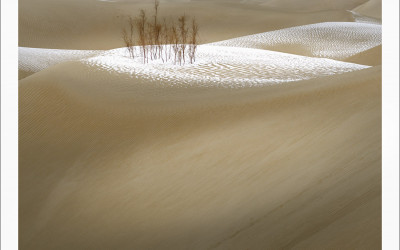 타크라마칸 사막 겨울편 #1