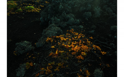 Iceland Night