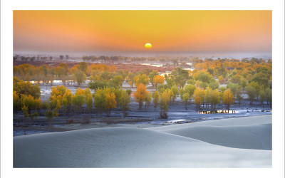 타클라마칸 사막 가을편#12