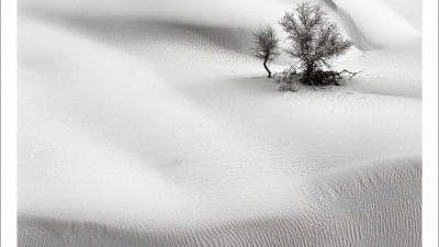 타크라마칸사막 겨울편#23