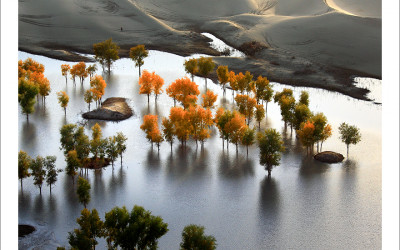 타클라마칸 사막 가을편#4