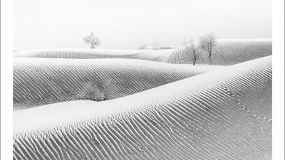 타클라마칸 사막 겨울편 #14