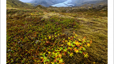 Inside Iceland