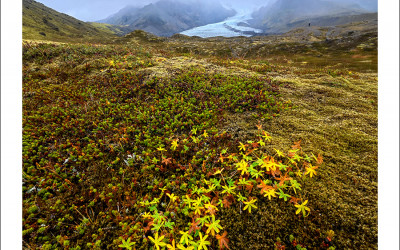 Inside Iceland
