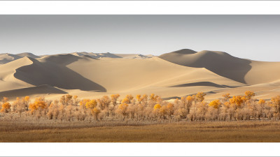 타클라마칸 사막 가을편#5