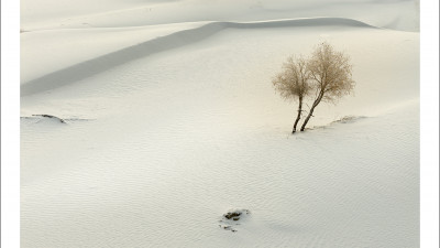 타크라마칸사막 겨울편#24