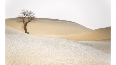 타크라마칸 사막 겨울편 #8