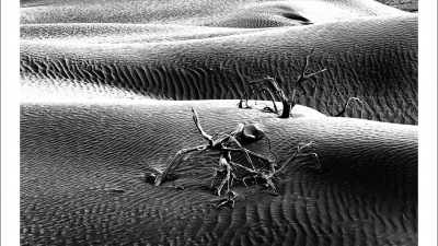 타클라마칸 사막 겨울편 #17