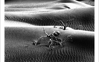 타클라마칸 사막 겨울편 #17