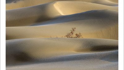 타크라마칸 사막 겨울편 #4