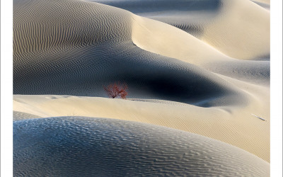 타클라마칸 사막 겨울편 #18