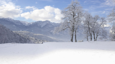 슬로베니아의 겨울