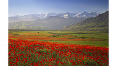 키르키스탄의 봄