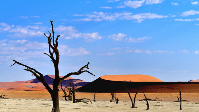Sossusvlei NAMIBIA