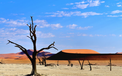 Sossusvlei NAMIBIA