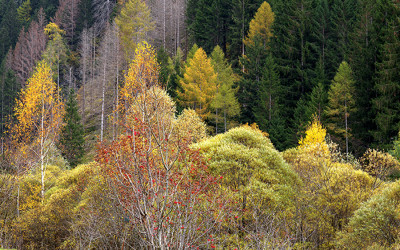 2025  10월 돌로미티