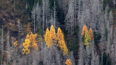 2025 10월 돌로미티