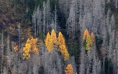 2025 10월 돌로미티