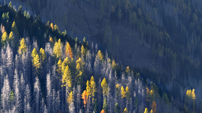 2025 10월 돌로미티