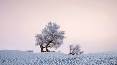 2025 타클라마칸의 겨울