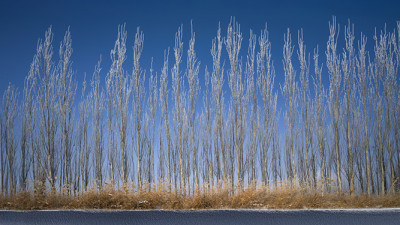 2025 타클라마칸의 겨울