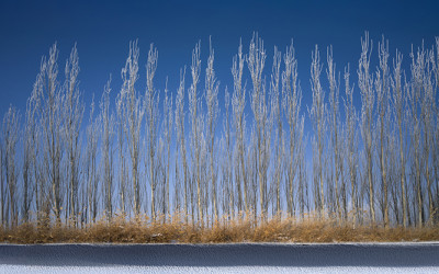 2025 타클라마칸의 겨울