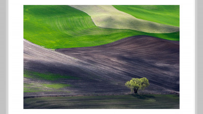 Palouse #1
