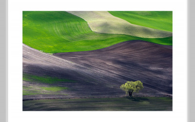 Palouse #1