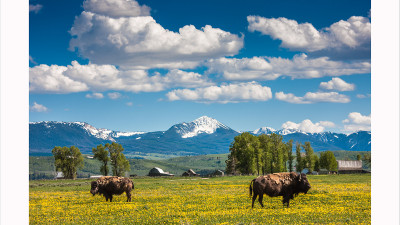 GRAND TETON
