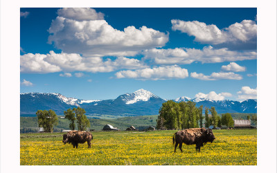 GRAND TETON