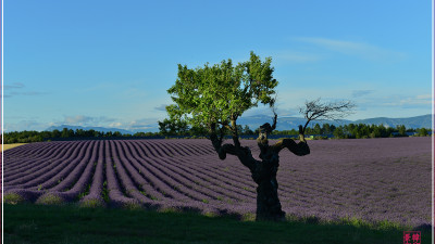 Provence France