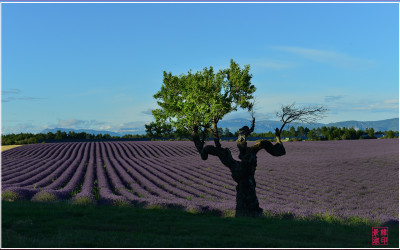 Provence France