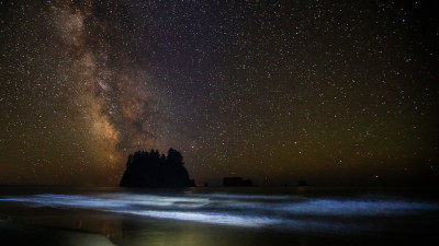 Milky Way (La Push 2nd Beach)