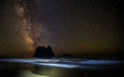 Milky Way (La Push 2nd Beach)