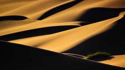  The Nature