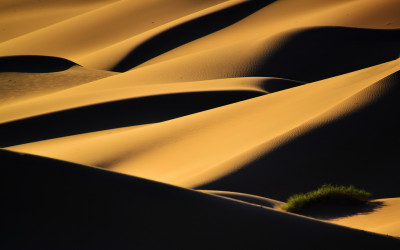  The Nature