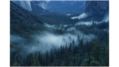 Tunnel View