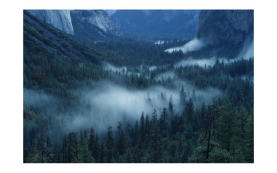 Tunnel View