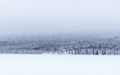 핀란드의 겨울 2