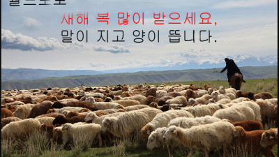 말이 지고 양이 뜹니다..