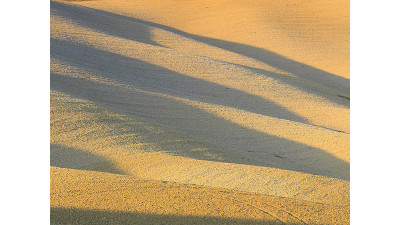 Winter of Tuscany