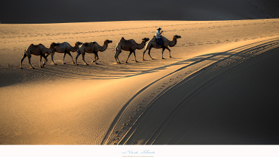 2014 바단지린 사막에서...