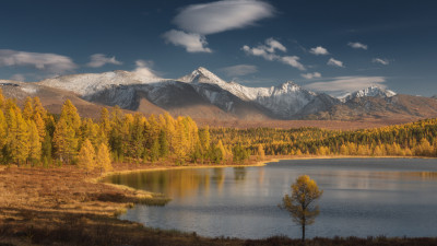 The Autumn of Altay