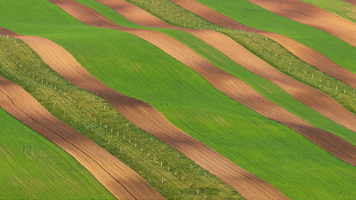  The carpet painted by Spring